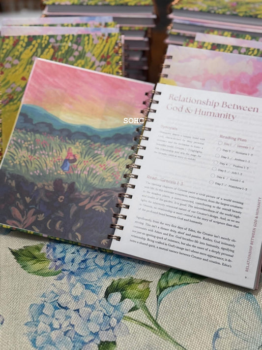 Beautiful Year in the Bible Study Book