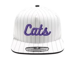 Custom Pinstripe Hat