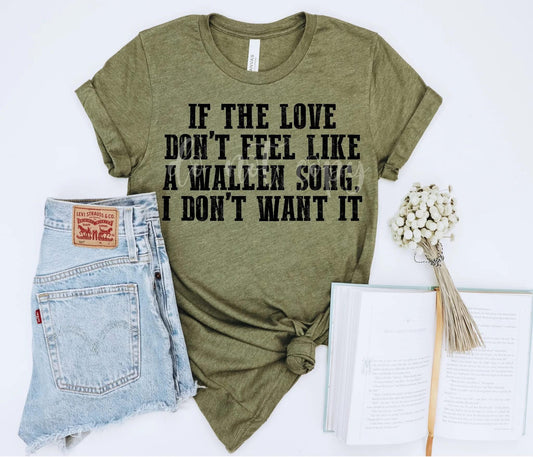 Don't Feel like Wallen song