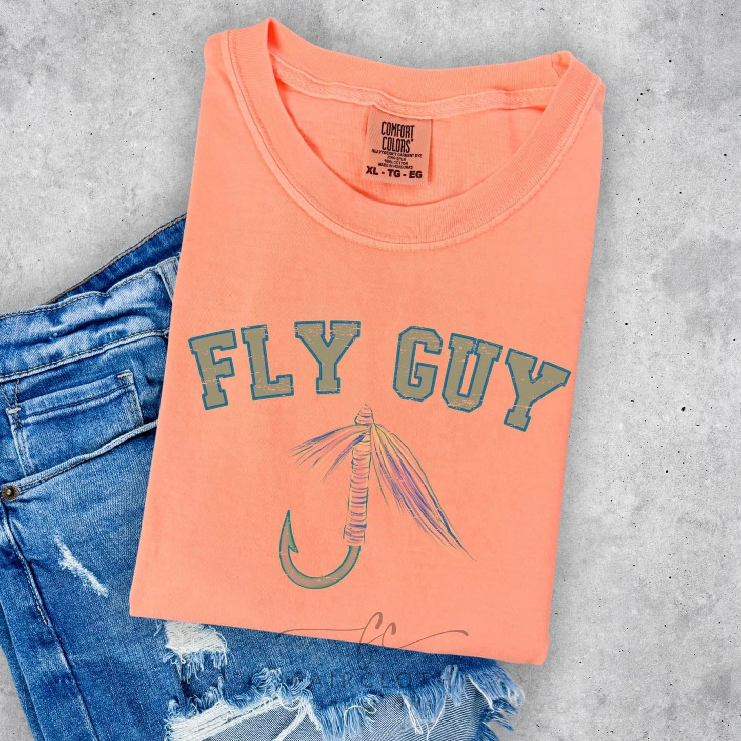 Fly Guy