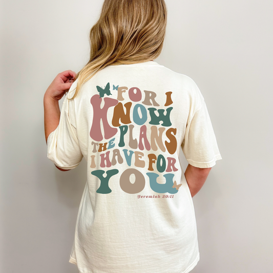 For I Know the Plans