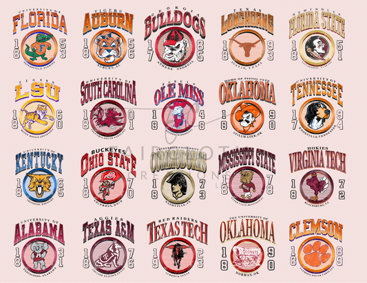 Vintage College Team  Sale