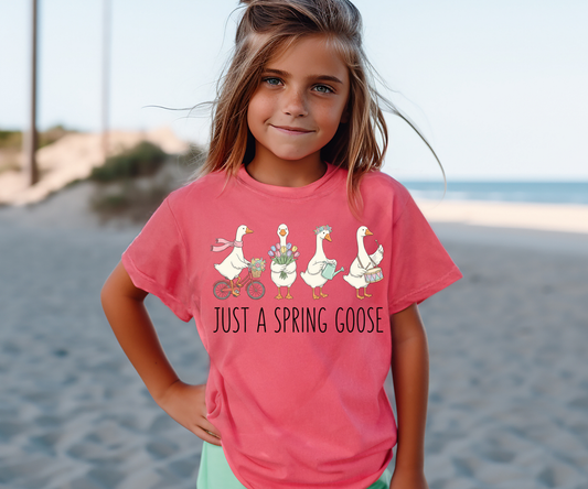 Just a Spring Goose