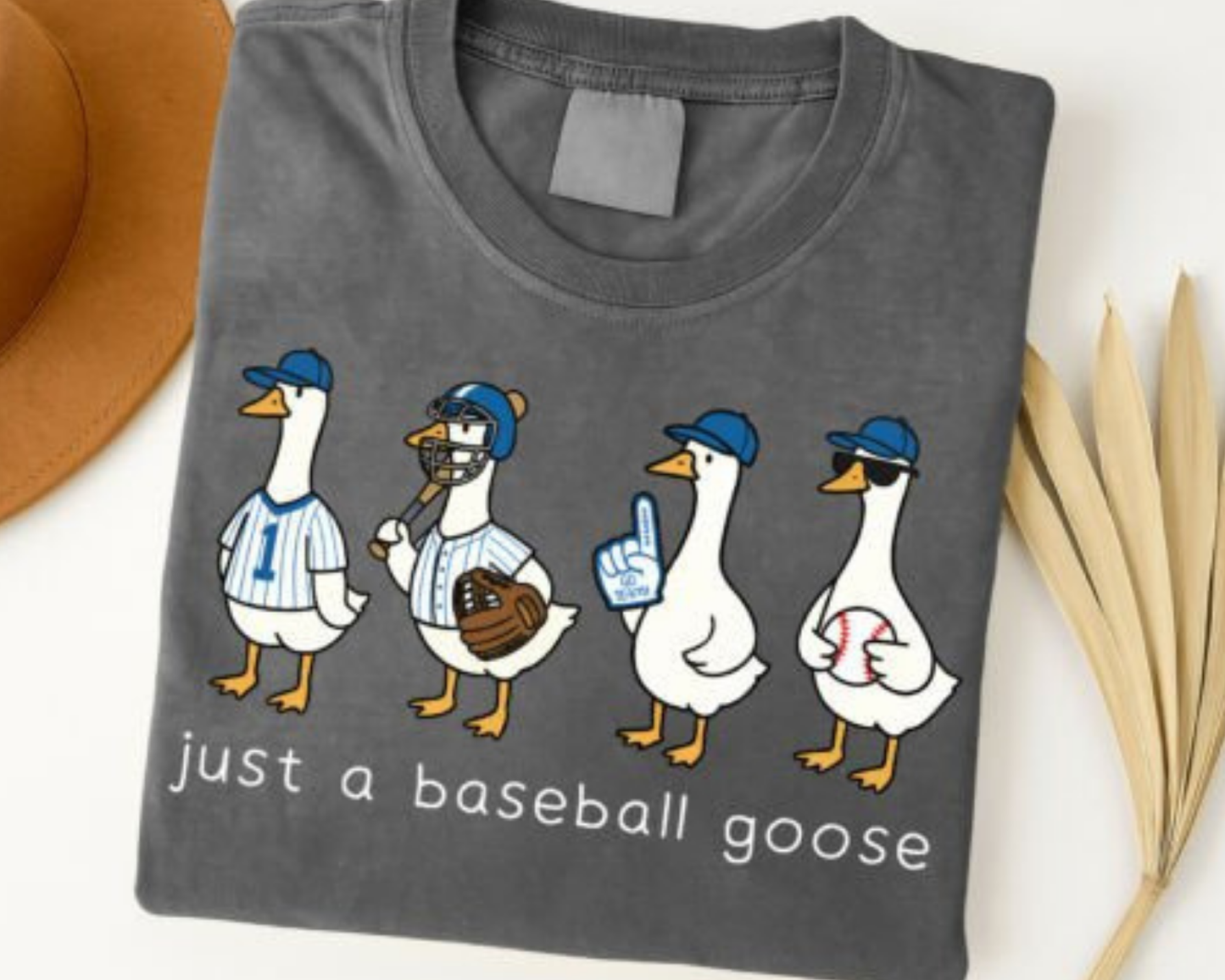Just a Baseball Goose