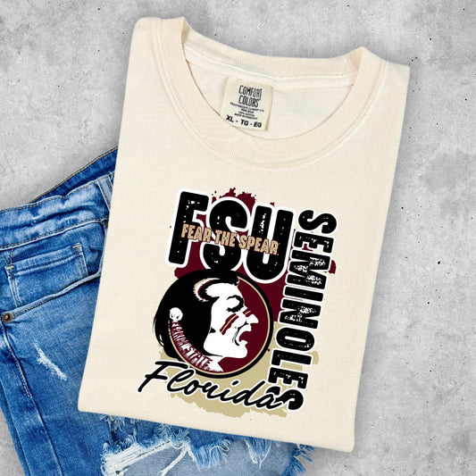 Nole Head with Colored Background