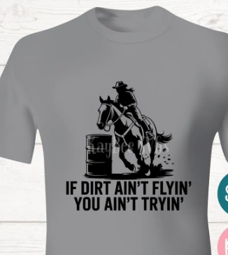 Ain't Flyin, Ain't Trying