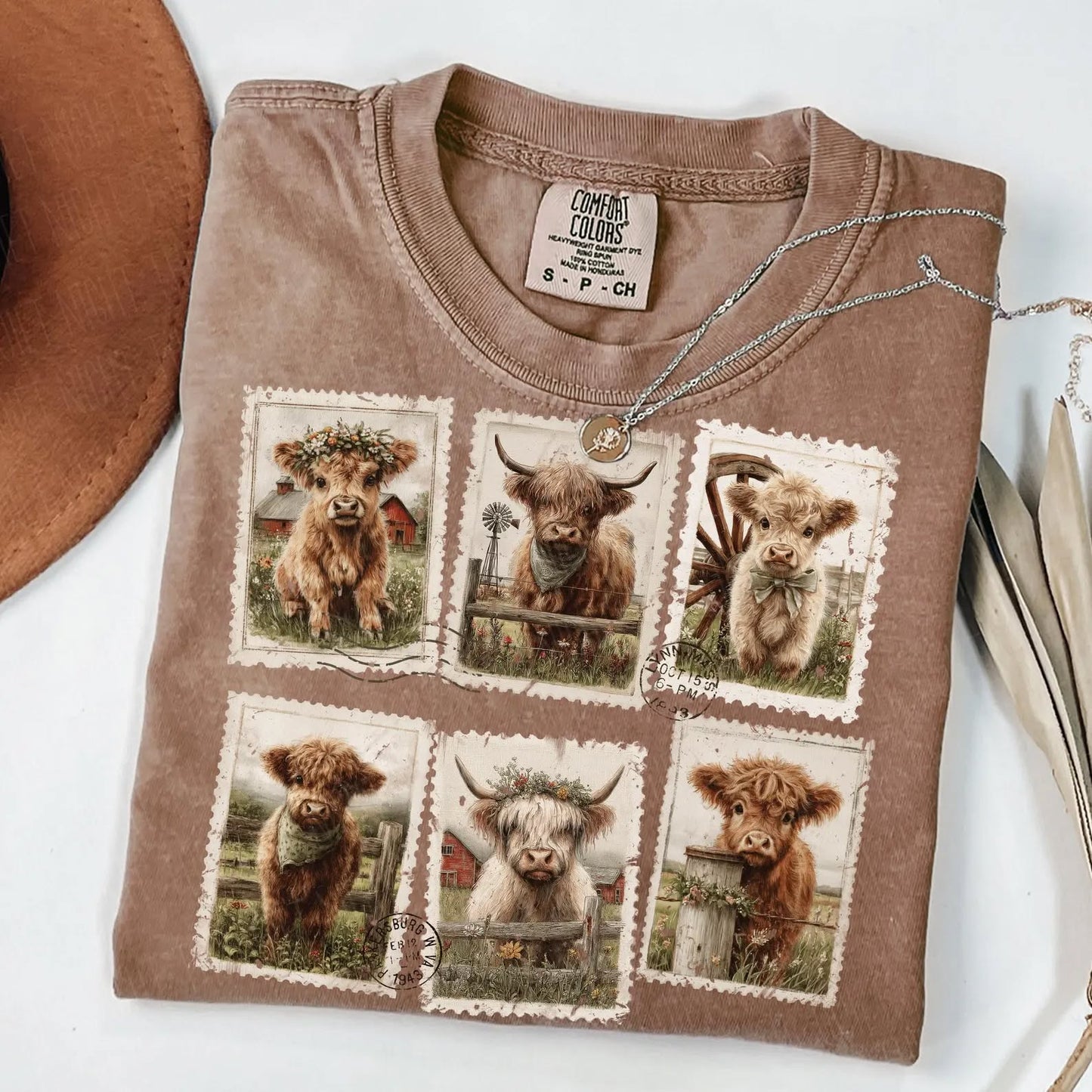 Shaggy Cow Photographs