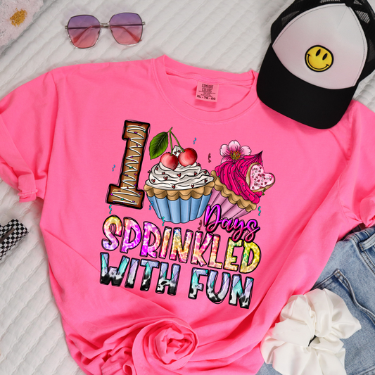 101 Days of School Sprinkled with Fun