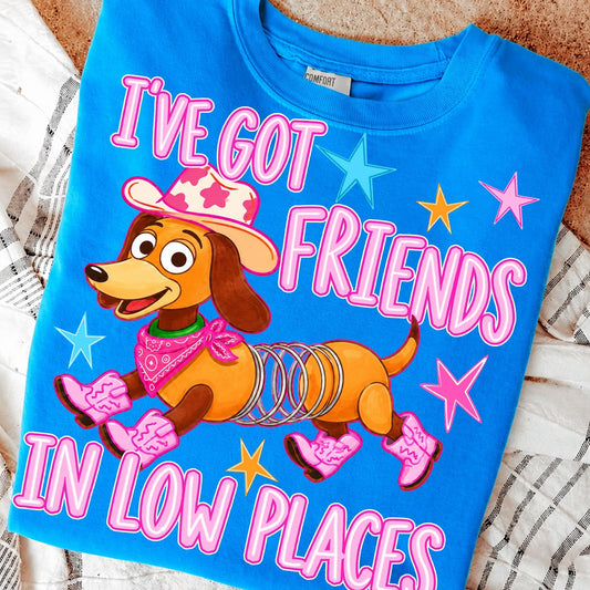 TS Got Friends in Low Places
